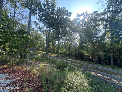 Tiny photo for 536 Teepee Lane, Jamestown, TN 38556 (MLS # 1355822)