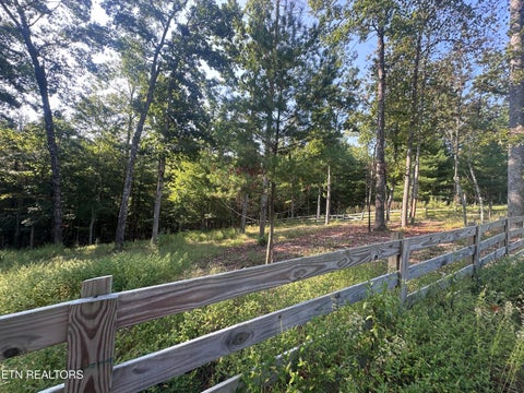 Tiny photo for 536 Teepee Lane, Jamestown, TN 38556 (MLS # 1355822)