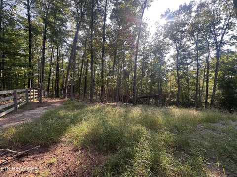 Tiny photo for 536 Teepee Lane, Jamestown, TN 38556 (MLS # 1355822)