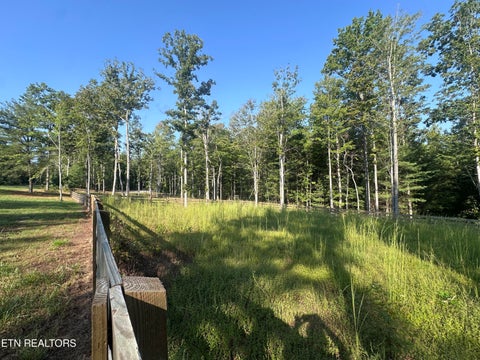 Tiny photo for 536 Teepee Lane, Jamestown, TN 38556 (MLS # 1355822)