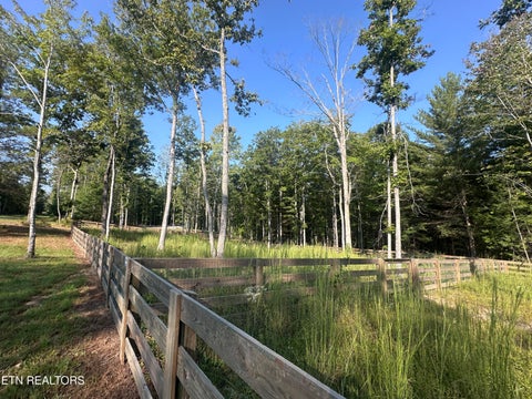 Tiny photo for 536 Teepee Lane, Jamestown, TN 38556 (MLS # 1355822)