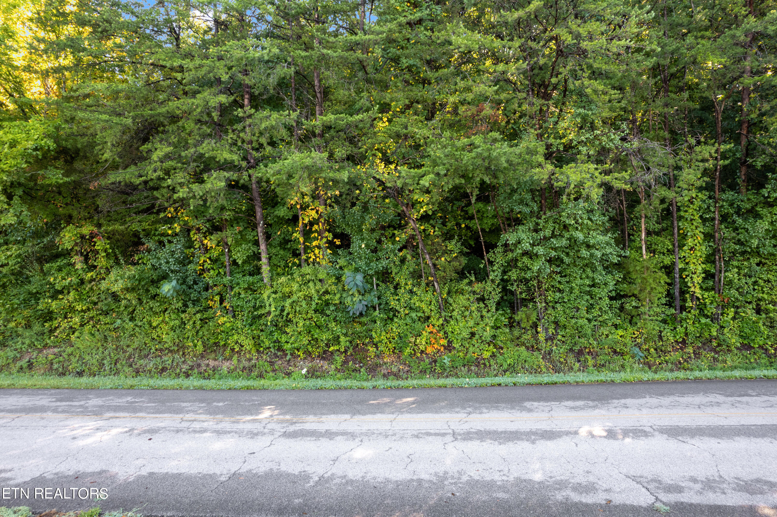 TBD Delozier Lane