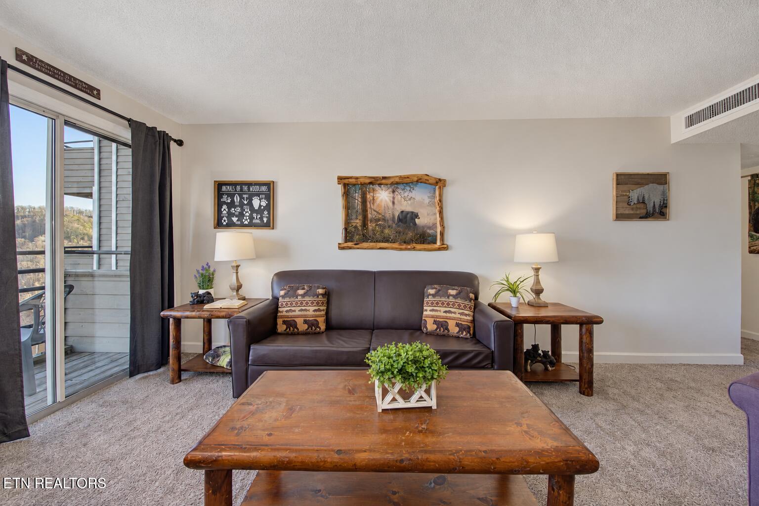 1260 Ski View Drive APT 8204