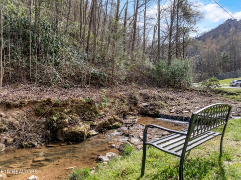 Tiny photo for Balsam Slopes Rd, Sevierville, TN 37862 (MLS # 1358324)