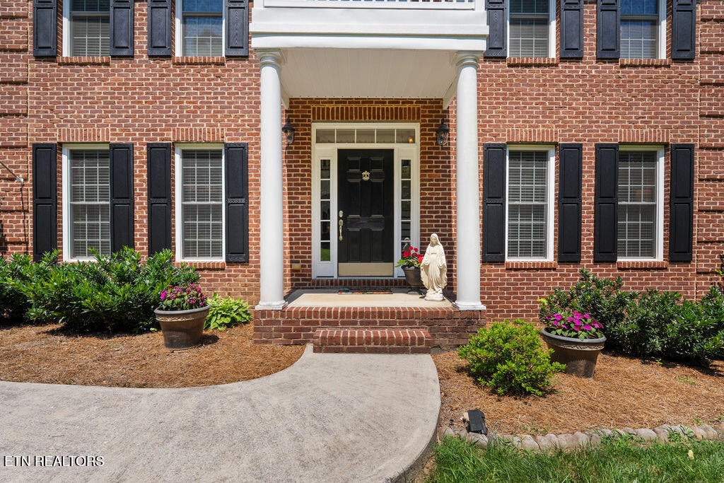 115 County Road 531