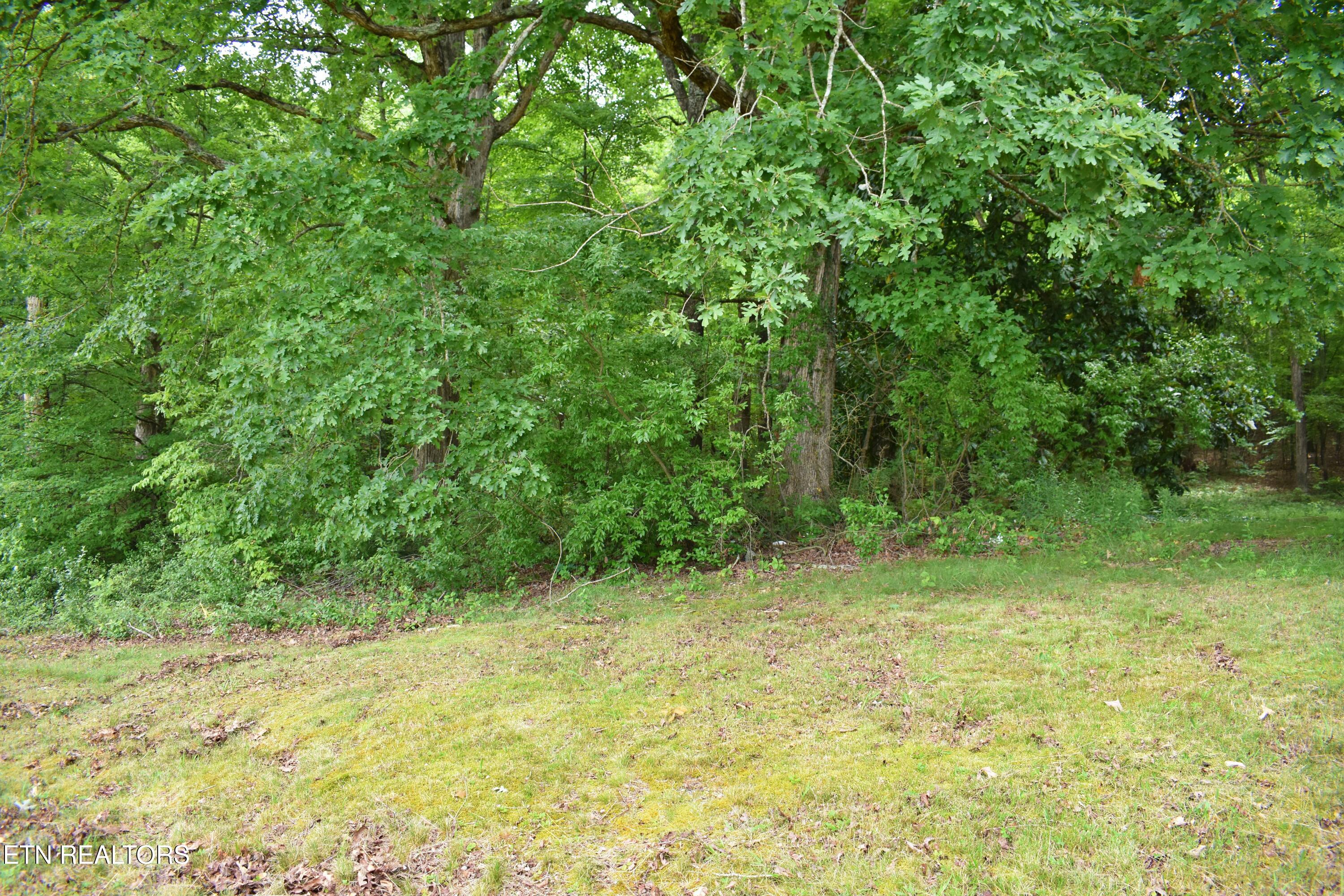 25682 Rhea County Hwy