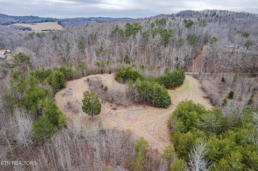 Photo of 000 Correll Ridge Rd, Decatur, TN 37322 (MLS # 1288061)
