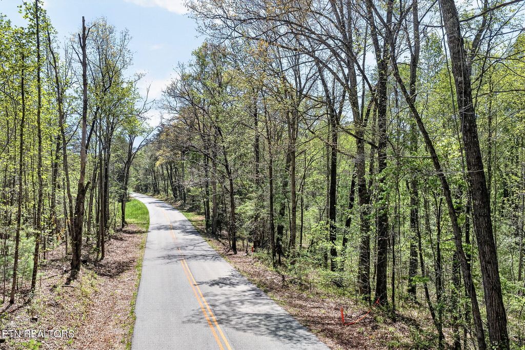Photo of 3 Smith Mountain Rd, Rockwood, TN 37854 (MLS # 1337629)