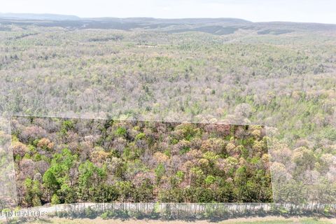 Photo of 3 Smith Mountain Rd, Rockwood, TN 37854 (MLS # 1337629)