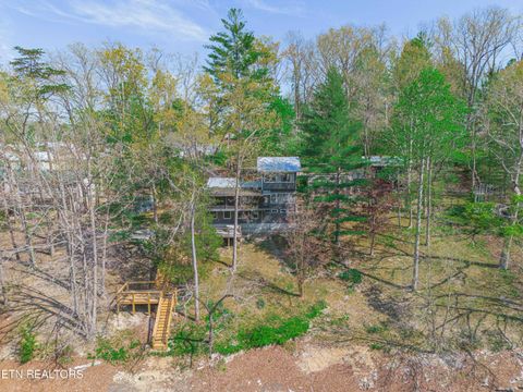 Tiny photo for 780 Indian River Boat Dock Rd, Jacksboro, TN 37757 (MLS # 1336505)