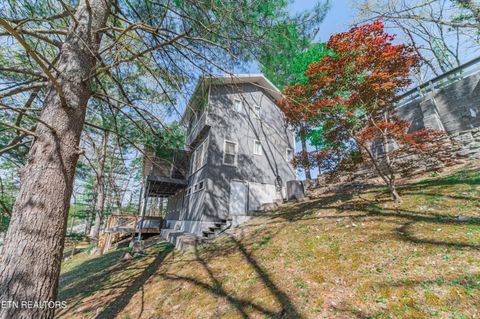 Tiny photo for 780 Indian River Boat Dock Rd, Jacksboro, TN 37757 (MLS # 1336505)