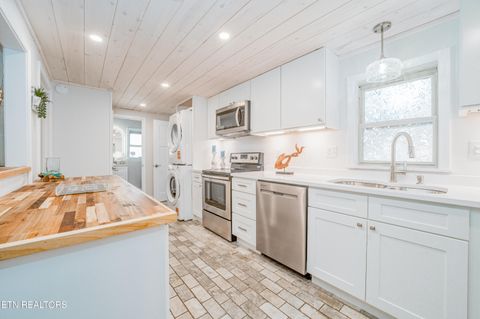 Tiny photo for 780 Indian River Boat Dock Rd, Jacksboro, TN 37757 (MLS # 1336505)