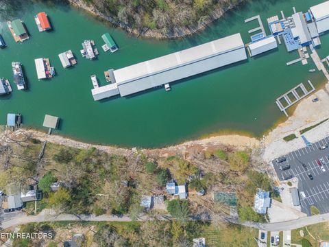 Tiny photo for 780 Indian River Boat Dock Rd, Jacksboro, TN 37757 (MLS # 1336505)