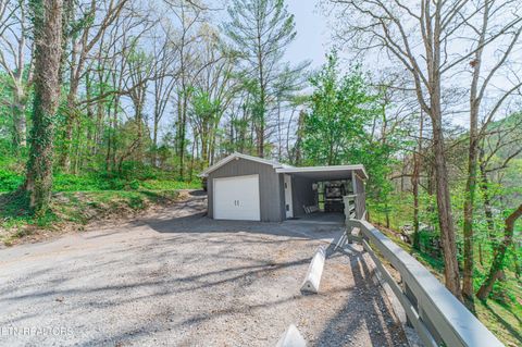 Tiny photo for 780 Indian River Boat Dock Rd, Jacksboro, TN 37757 (MLS # 1336505)