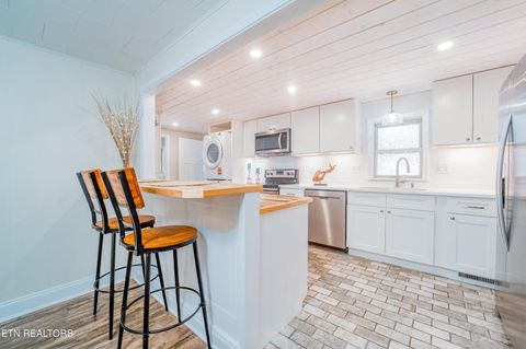 Tiny photo for 780 Indian River Boat Dock Rd, Jacksboro, TN 37757 (MLS # 1336505)