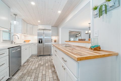 Tiny photo for 780 Indian River Boat Dock Rd, Jacksboro, TN 37757 (MLS # 1336505)