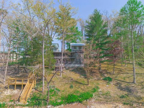 Tiny photo for 780 Indian River Boat Dock Rd, Jacksboro, TN 37757 (MLS # 1336505)