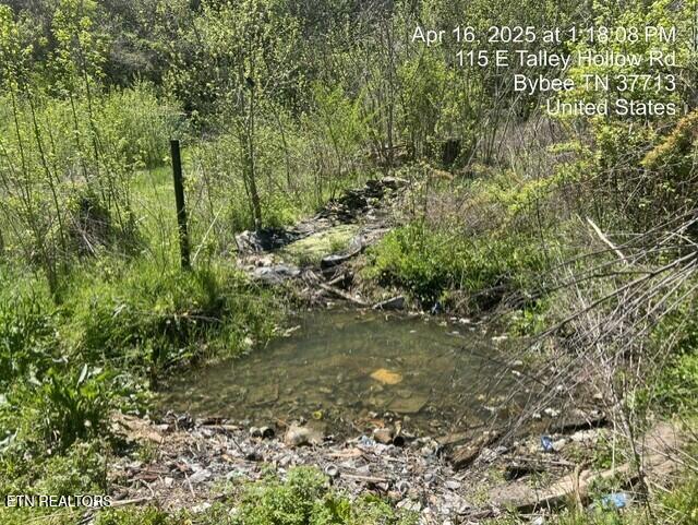 Photo of 115 E East Talley Hollow Rd, Bybee, TN 37713 (MLS # 1305118)
