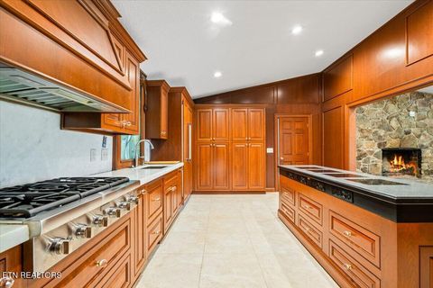 Tiny photo for 190 Dogwood Rd, Caryville, TN 37714 (MLS # 1341715)