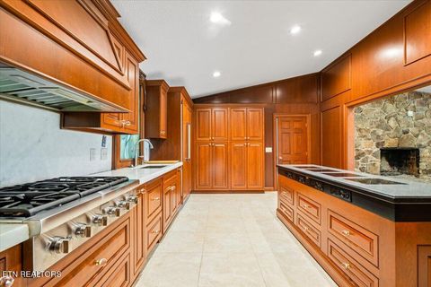 Tiny photo for 190 Dogwood Rd, Caryville, TN 37714 (MLS # 1341715)