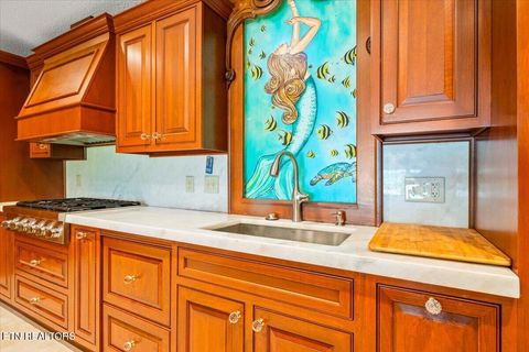 Tiny photo for 190 Dogwood Rd, Caryville, TN 37714 (MLS # 1341715)
