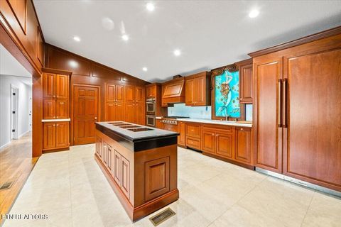 Tiny photo for 190 Dogwood Rd, Caryville, TN 37714 (MLS # 1341715)