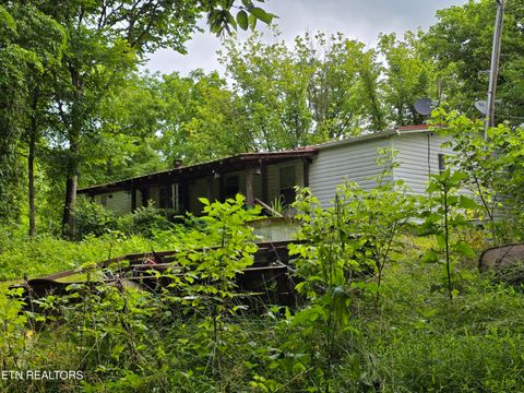 Photo of 779 PawPaw Rd, Thorn Hill, TN 37881 (MLS # 1317593)