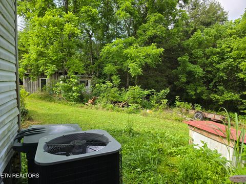 Tiny photo for 779 PawPaw Rd, Thorn Hill, TN 37881 (MLS # 1317593)