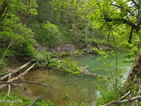 Tiny photo for 779 PawPaw Rd, Thorn Hill, TN 37881 (MLS # 1317593)