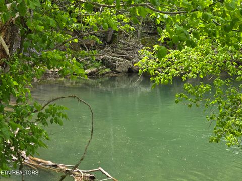 Tiny photo for 779 PawPaw Rd, Thorn Hill, TN 37881 (MLS # 1317593)