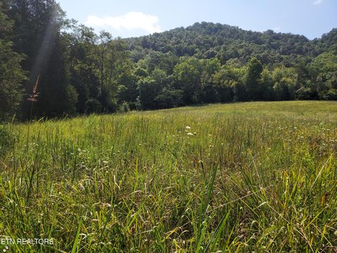 Tiny photo for 779 PawPaw Rd, Thorn Hill, TN 37881 (MLS # 1317593)