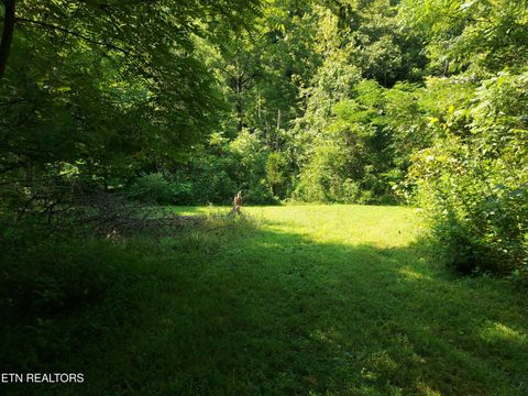 Tiny photo for 779 PawPaw Rd, Thorn Hill, TN 37881 (MLS # 1317593)