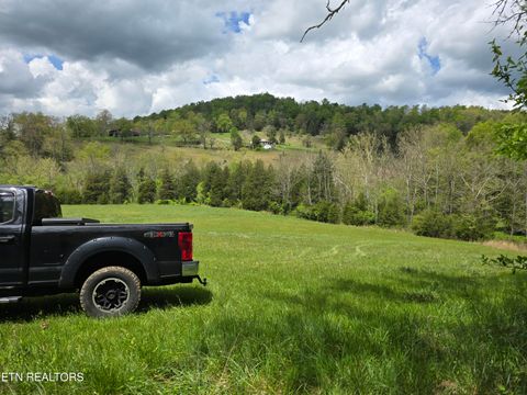 Tiny photo for 779 PawPaw Rd, Thorn Hill, TN 37881 (MLS # 1317593)