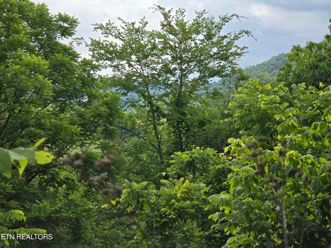 Tiny photo for 779 PawPaw Rd, Thorn Hill, TN 37881 (MLS # 1317593)