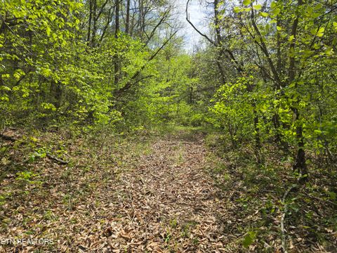 Tiny photo for 779 PawPaw Rd, Thorn Hill, TN 37881 (MLS # 1317593)