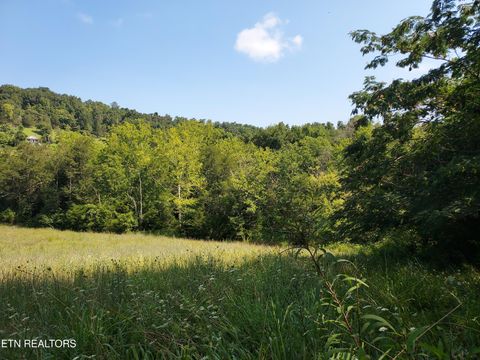 Tiny photo for 779 PawPaw Rd, Thorn Hill, TN 37881 (MLS # 1317593)