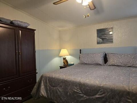 Tiny photo for 779 PawPaw Rd, Thorn Hill, TN 37881 (MLS # 1317593)