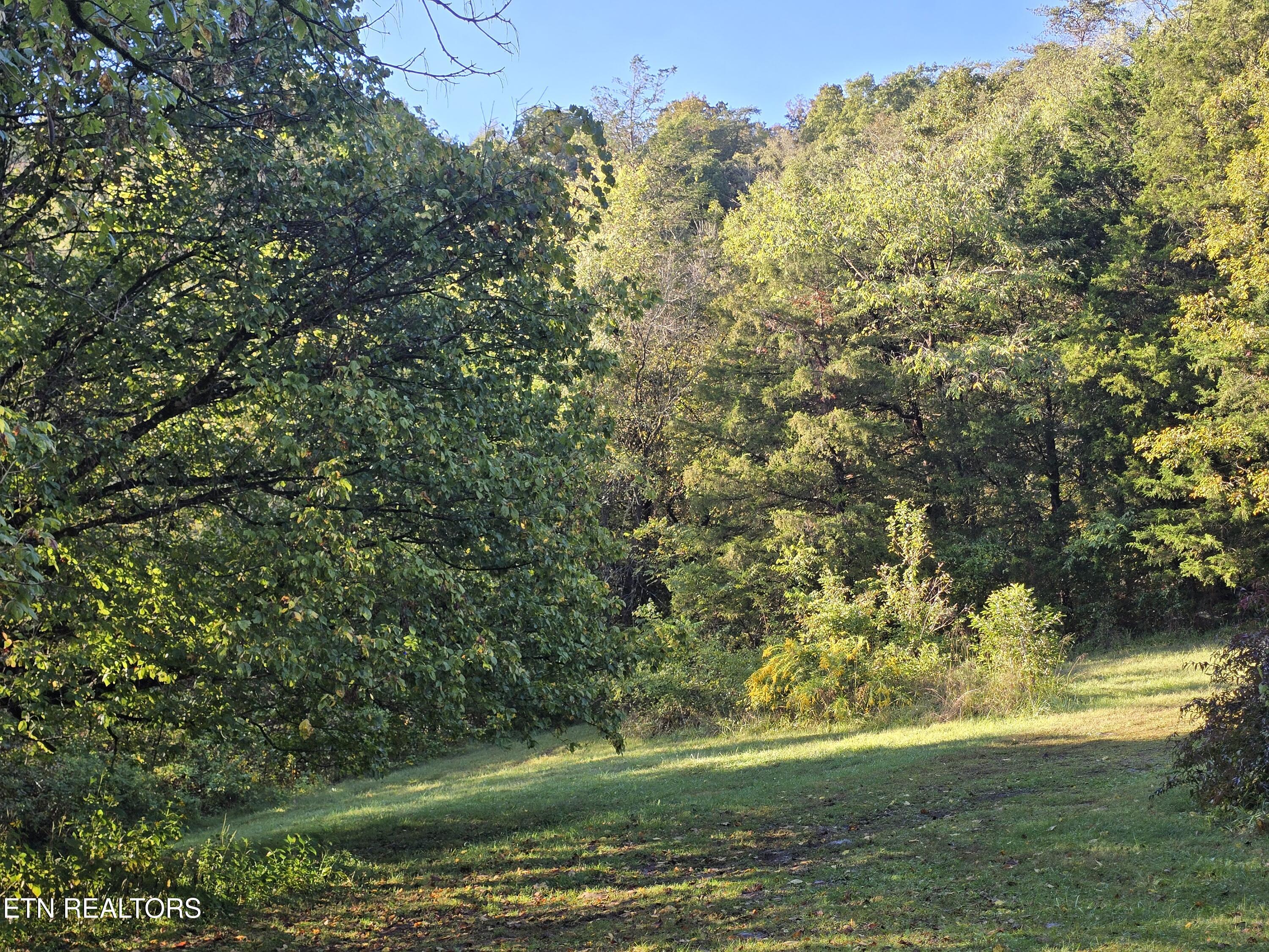 779 PawPaw Rd