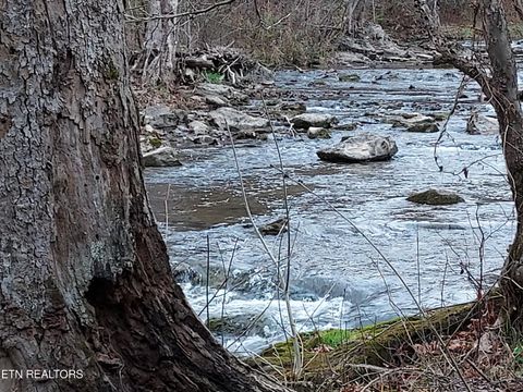 Tiny photo for 779 PawPaw Rd, Thorn Hill, TN 37881 (MLS # 1317593)