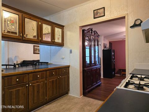 Tiny photo for 779 PawPaw Rd, Thorn Hill, TN 37881 (MLS # 1317593)