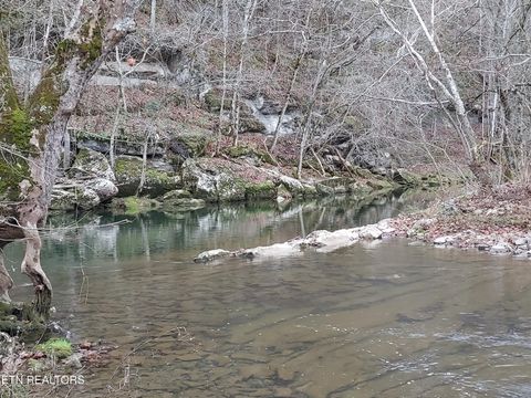 Tiny photo for 779 PawPaw Rd, Thorn Hill, TN 37881 (MLS # 1317593)