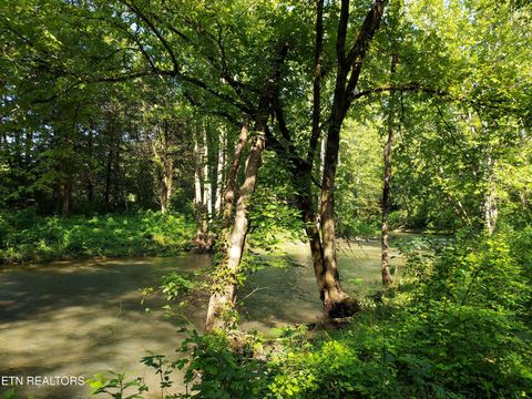 Tiny photo for 779 PawPaw Rd, Thorn Hill, TN 37881 (MLS # 1317593)