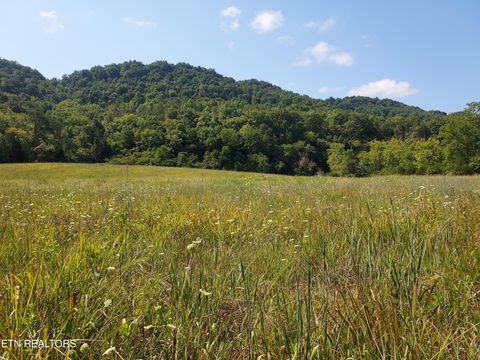 Tiny photo for 779 PawPaw Rd, Thorn Hill, TN 37881 (MLS # 1317593)