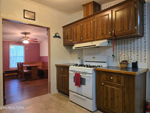 Tiny photo for 779 PawPaw Rd, Thorn Hill, TN 37881 (MLS # 1317593)