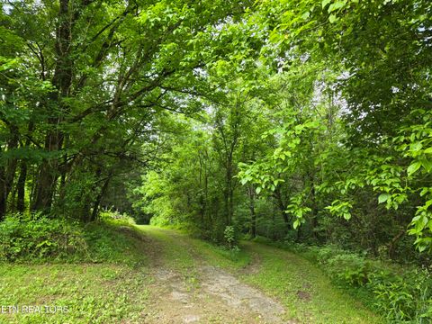 Tiny photo for 779 PawPaw Rd, Thorn Hill, TN 37881 (MLS # 1317593)