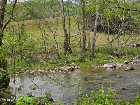 Tiny photo for 779 PawPaw Rd, Thorn Hill, TN 37881 (MLS # 1317593)