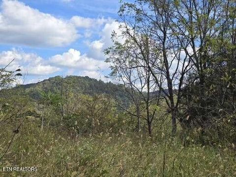 Tiny photo for 779 PawPaw Rd, Thorn Hill, TN 37881 (MLS # 1317593)