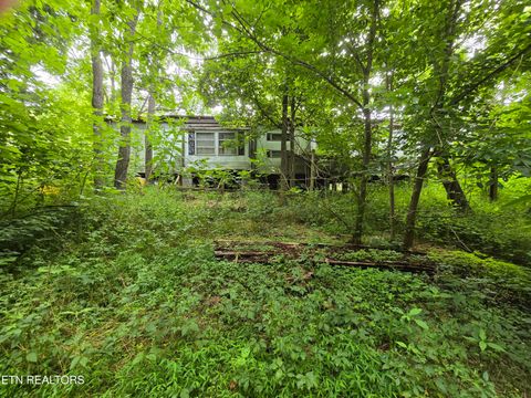 Tiny photo for 779 PawPaw Rd, Thorn Hill, TN 37881 (MLS # 1317593)