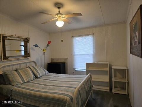Tiny photo for 779 PawPaw Rd, Thorn Hill, TN 37881 (MLS # 1317593)