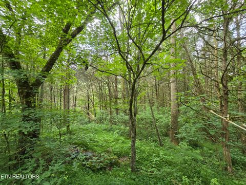 Tiny photo for 779 PawPaw Rd, Thorn Hill, TN 37881 (MLS # 1317593)